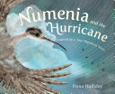 Numenia_and_the_hurricane