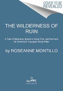 The_wilderness_of_ruin