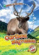 Caribou_migration